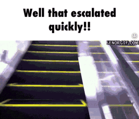 Escalator Moment Well That Escalated Quickly GIF