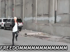 Escape From Jail Freedom Meme GIF