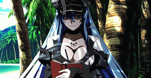Esdeath Anime Writing In Beach GIF