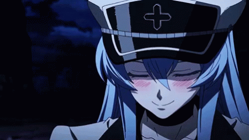 Esdeath Blush Cute Smile GIF