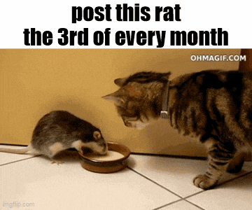 Essica Monthly Gif GIF