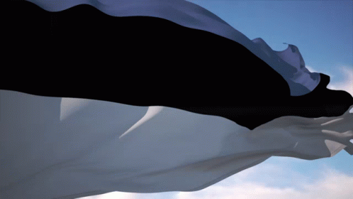 Estonia Flag Slow Motion GIF