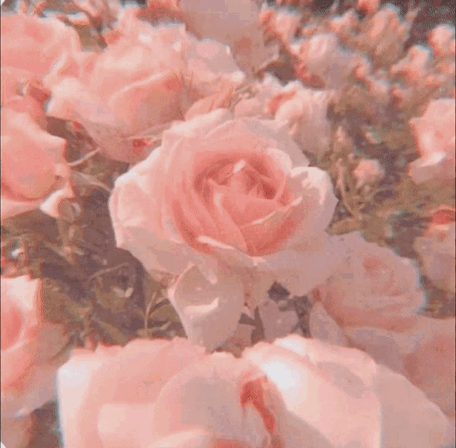 Ethereal Aesthetic Gif GIF