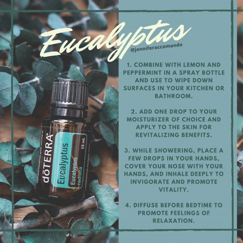 Eucalyptus Spray Bottle GIF