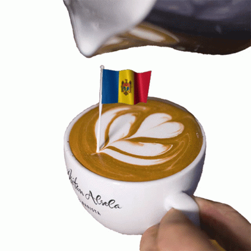 Europe Moldova Flag Latte GIF