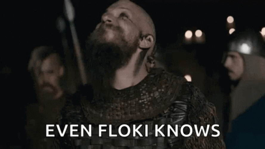 Even Viking Floki Knows GIF
