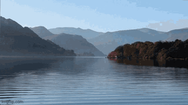 Everskiesstartrek Gif GIF