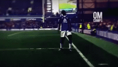 Everton Fc Arouna Kone GIF