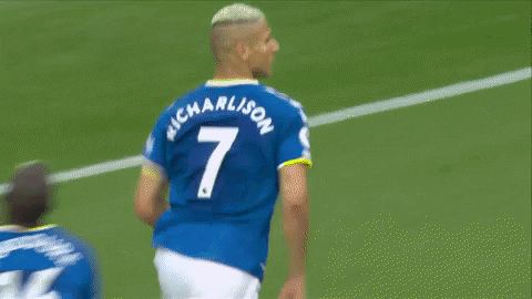 Everton Fc Celebrating Champions GIF