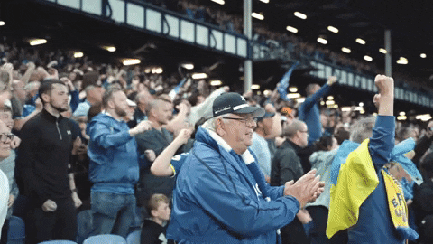 Everton Fc Celebrating Fans GIF