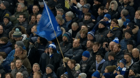 Everton Fc Eve Flag GIF