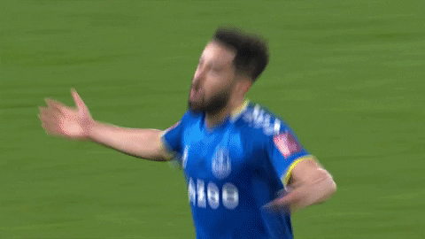 Everton Fc Eve Players Hugging GIF