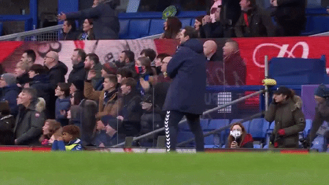 Everton Fc Frank Lampard Screaming Around GIF