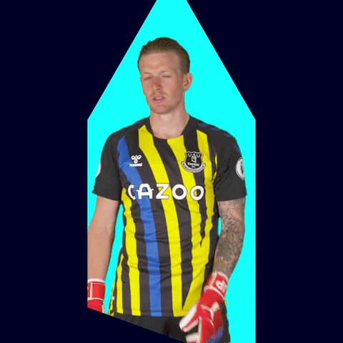 Everton Fc Jordan Pickford GIF