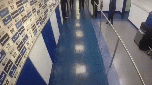 Everton Fc Marcel Brands GIF