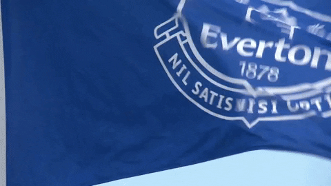 Everton Fc Waving Flag GIF