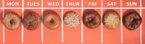Everyday Is Bagel Day GIF