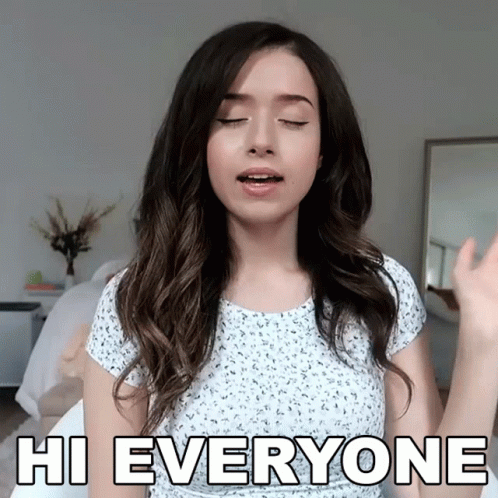 Everyone Hi Pokimane GIF