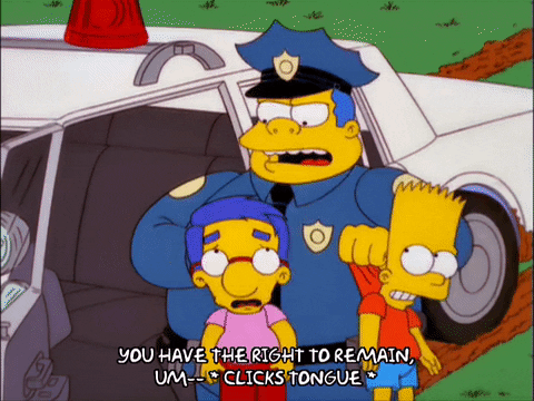 Everything Coming Up Milhouse And Bart Arrested GIF