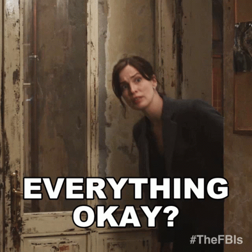 Everything Okay Jamie Kellett The Fbi GIF