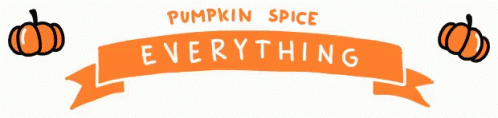 Everything's Nice With Pumpkin Spice GIF