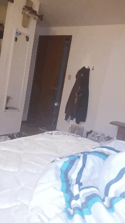 Evil Eye Dog Behind Door GIF
