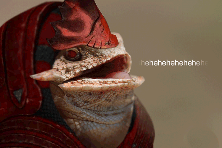 Evil Laugh Gecko Hehehe GIF