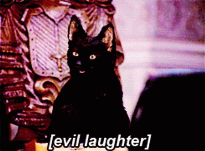 cat laughing evil muahahaha