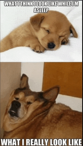 Evil Laugh Smirk Meme GIF