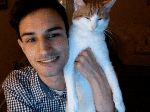 Evil White Cat Attack GIF