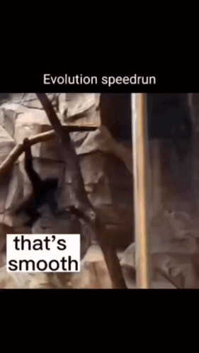 Evolution Flash Speed Run GIF