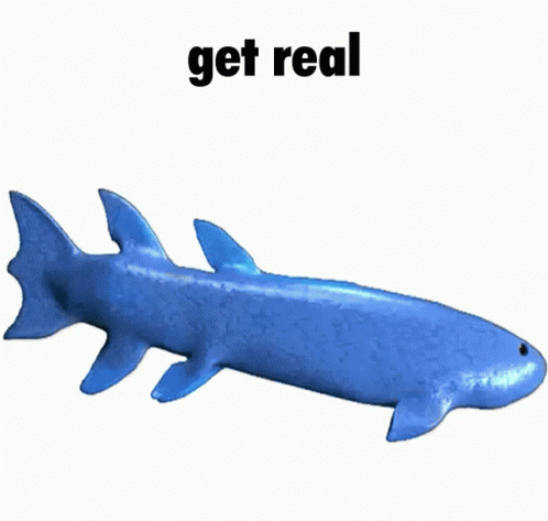 Evolution Of An Animal GIF