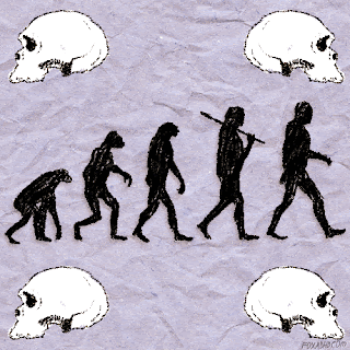 Evolution Of Neanderthals To Humans GIF