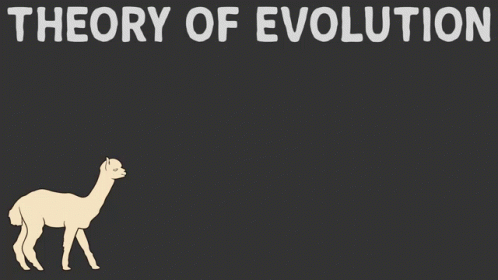 Evolution Of The Two Legged Alpaca GIF
