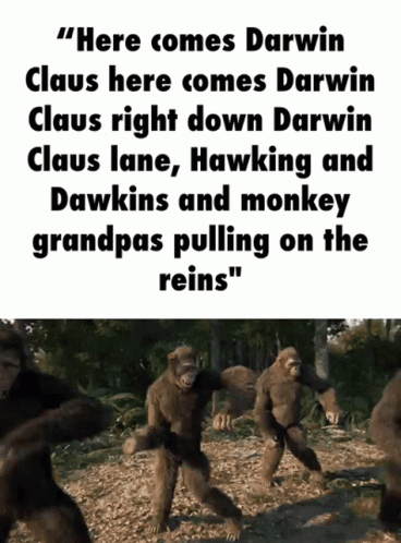 Evolution Theory Of Darwin And Hawking GIF