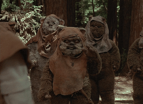 Ewok Bears Standing in Woods