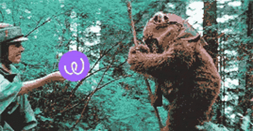 Ewok Human Encounter In The Woods GIF