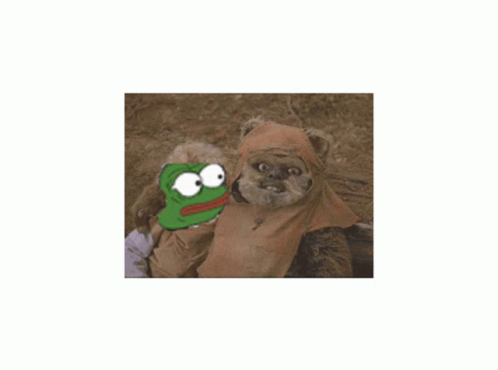 Ewok In Giving Empathy GIF
