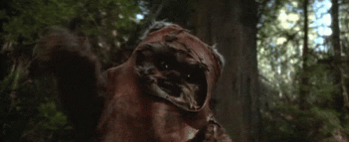 Ewok in Woods with Mouth Open