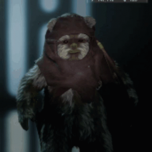 Ewok Kid Suit In The Dark GIF