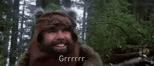 Ewok Man Trying To Hunt GIF