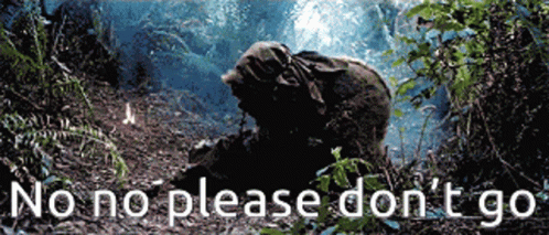 Ewok No Please Don't Go GIF
