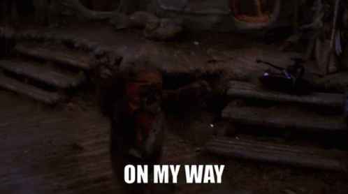 Ewok On My Way GIF