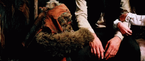 Ewok Seeking For Comfort GIF