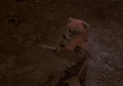 Ewok Trying To Fight GIF
