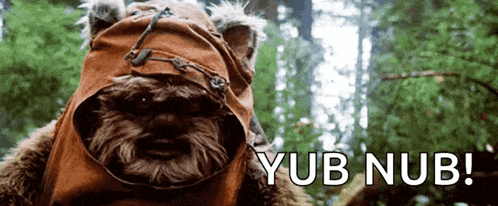 Ewok Trying To Say Someting GIF