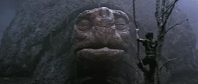Exaggerated Turtle Sneeze GIF