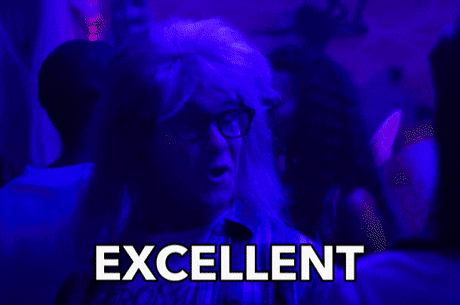 Excellent Adam Devine Garth GIF