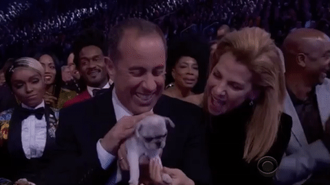 Excited Dog With Jerry Seinfeld GIF