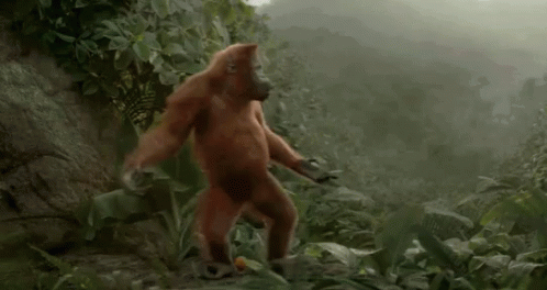Excited Gorilla Monkey Dance GIF